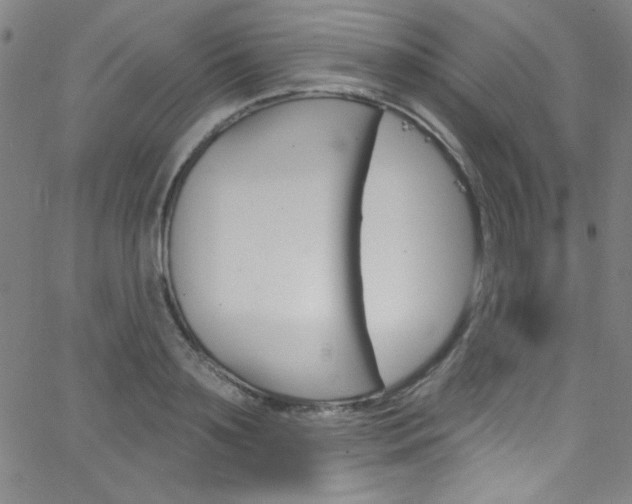 X0000068770891200604281015