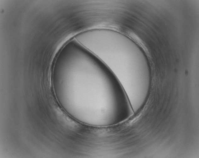 X0000068770892200604281015