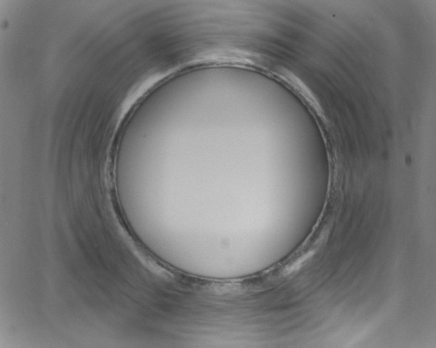 X0000068770893200604281015