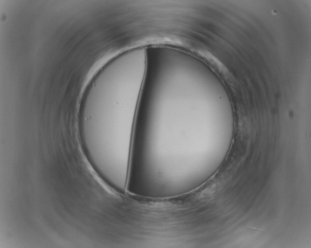 X0000068770894200604281015