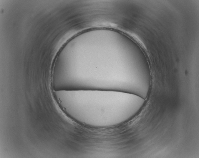 X0000068770895200604281015