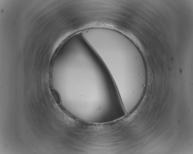 X0000068770896200604281015