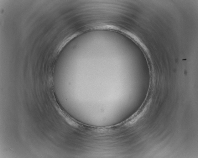 X0000068770897200604281015