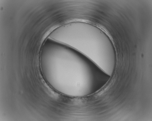 X0000068770898200604281015