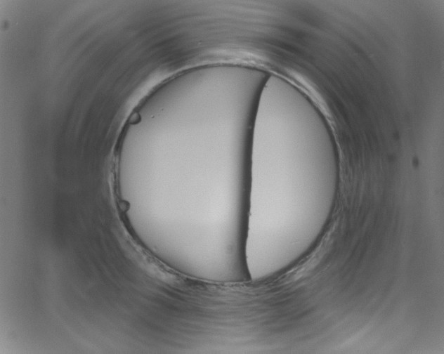 X0000068770899200604281015