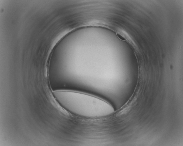 X0000068770900200604281015