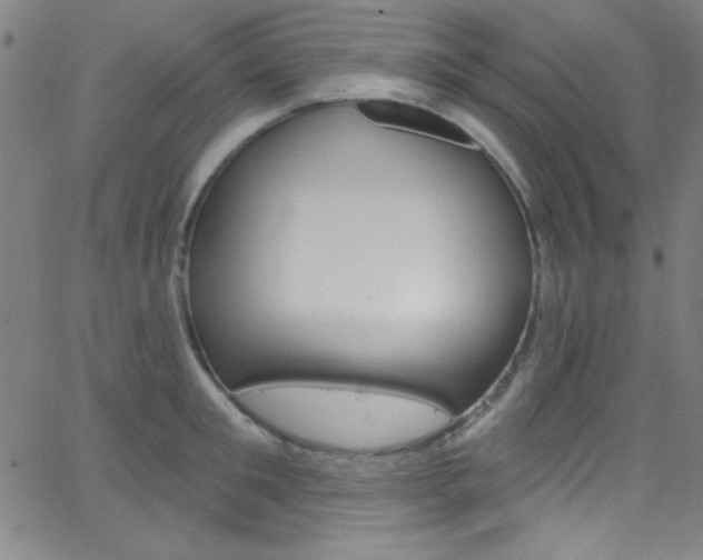 X0000068770901200604281015