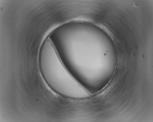 X0000068770902200604281015