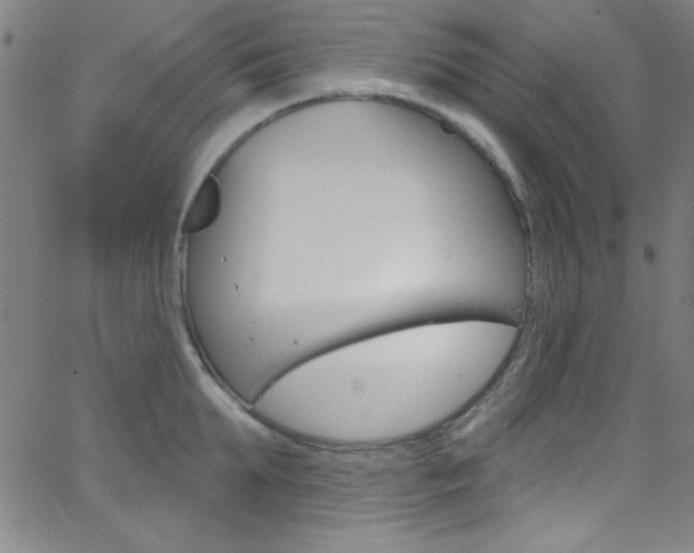 X0000068770903200604281015