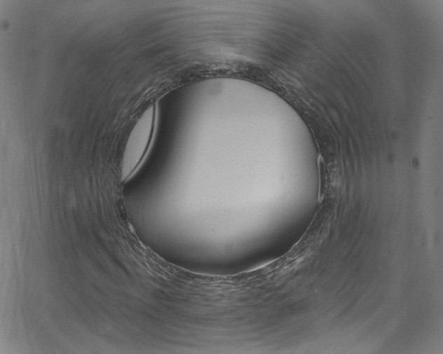 X0000068770916200604281014