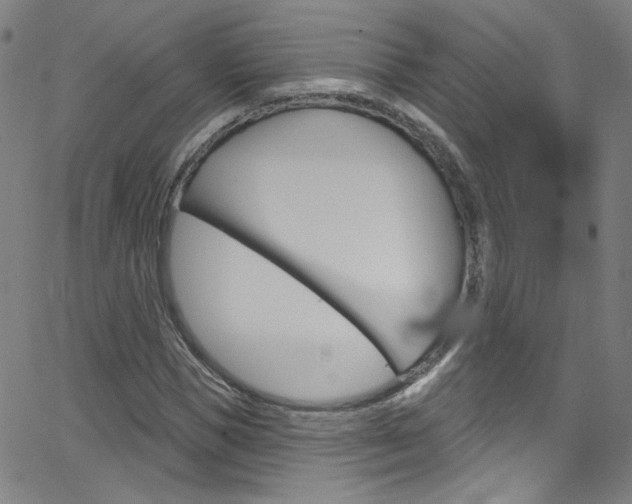 X0000068770921200604281014