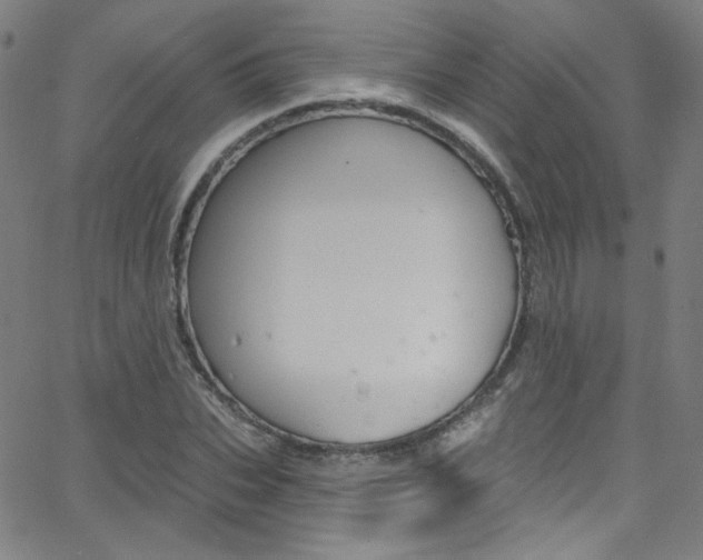 X0000068770927200604281014