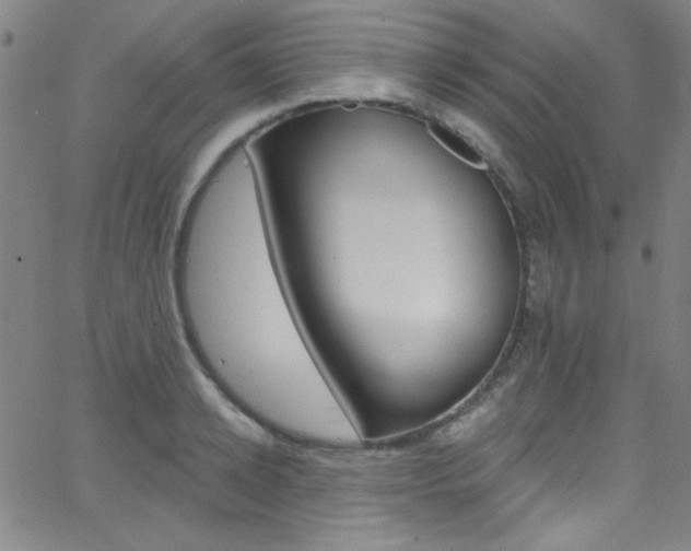 X0000068770942200604281014