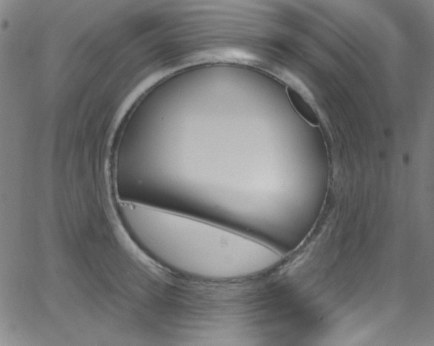 X0000068770947200604281014