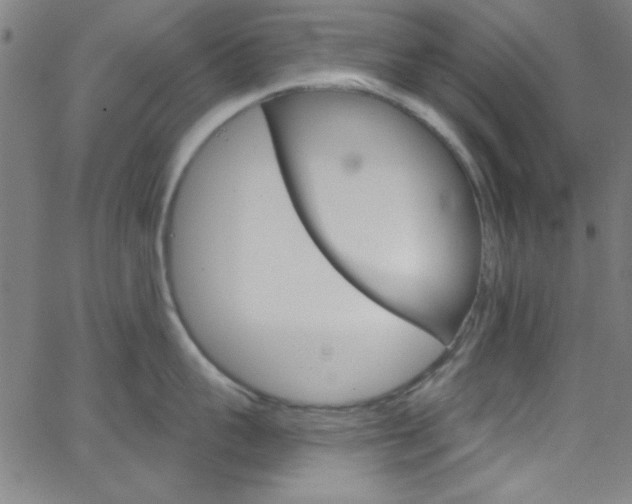 X0000068770959200604281014