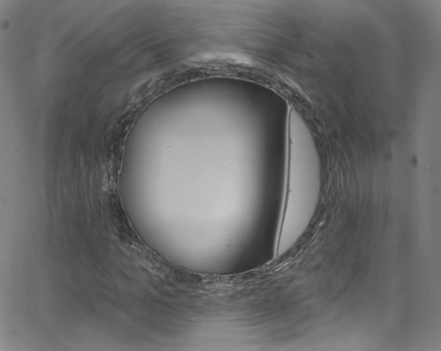X0000068770965200604281013