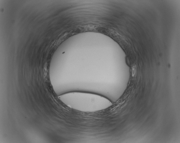 X0000068771011200604281012
