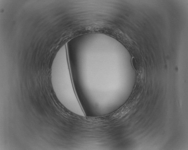 X0000068771012200604281012