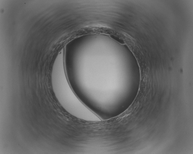 X0000068771014200604281012