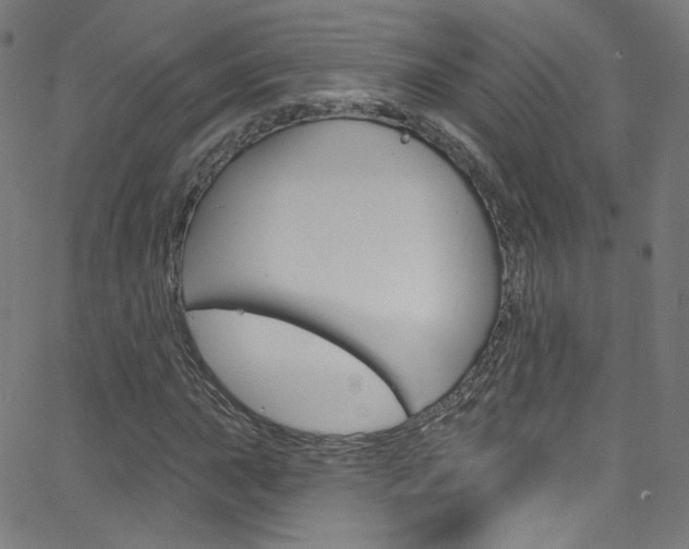 X0000068771015200604281012