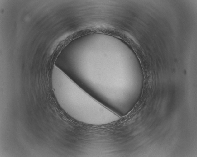 X0000068771016200604281012