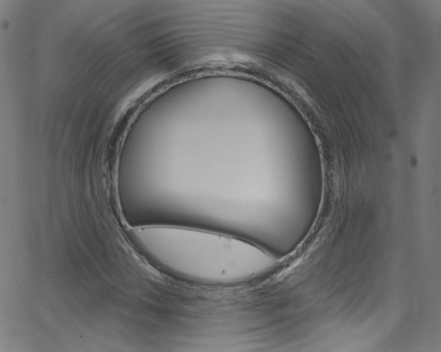 X0000068771018200604281012