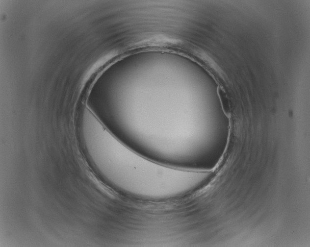 X0000068771026200604281012