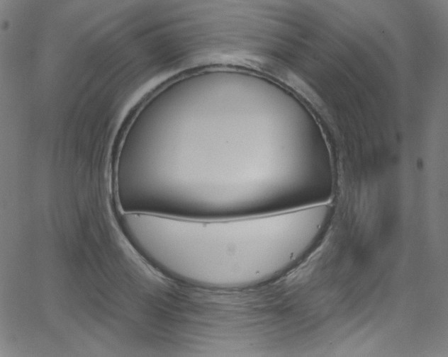 X0000068771028200604281012