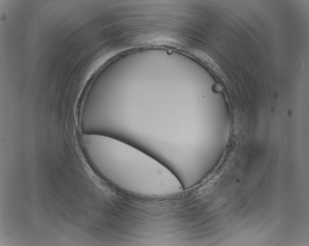 X0000068771031200604281012