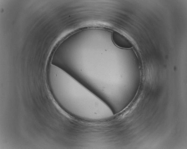X0000068771037200604281012