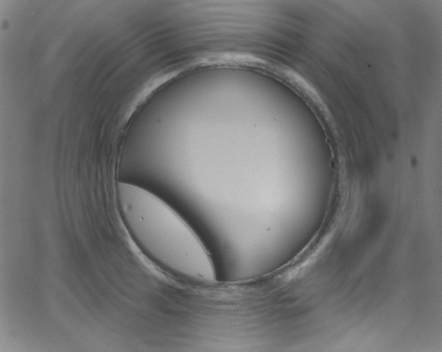 X0000068771041200604281012