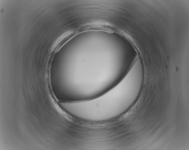X0000068771042200604281012