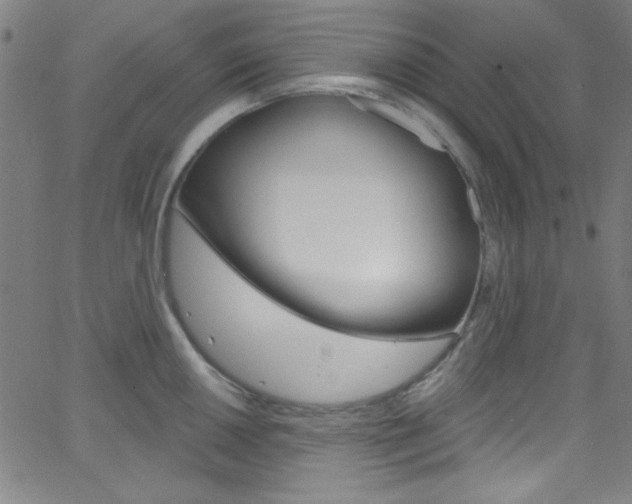 X0000068771050200604281013