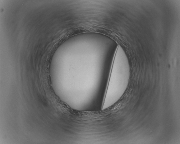 X0000068771057200604281012
