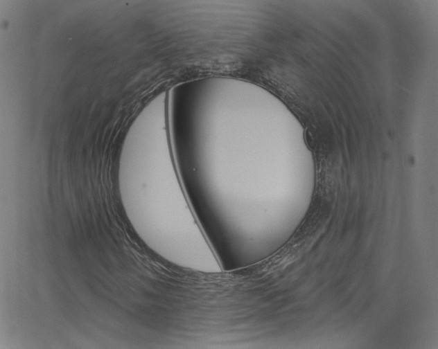 X0000068771058200604281012