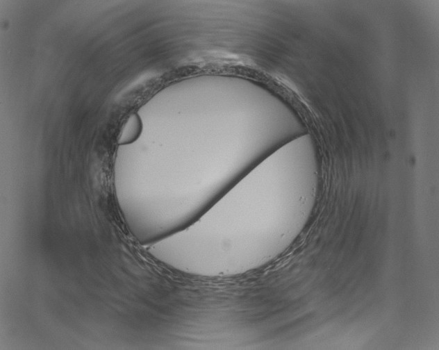 X0000068771063200604281012