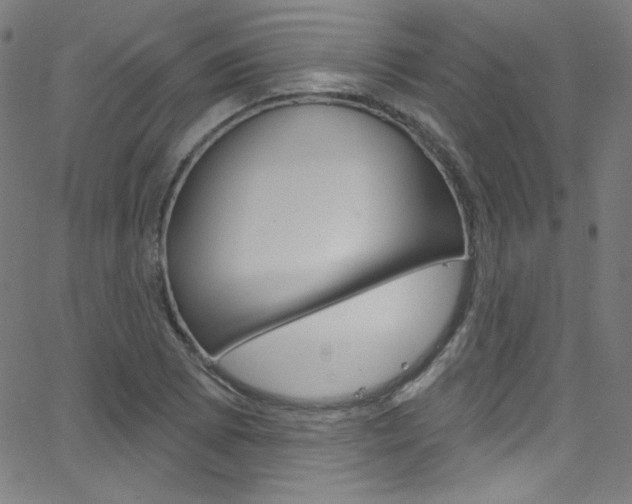 X0000068771073200604281012