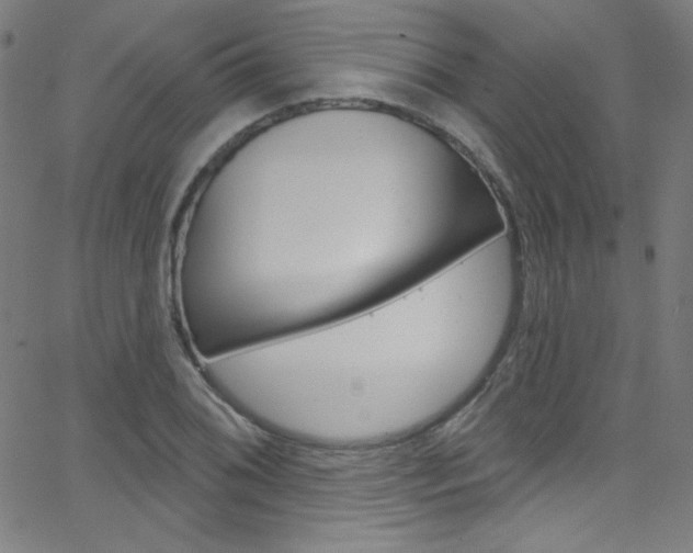 X0000068771076200604281012