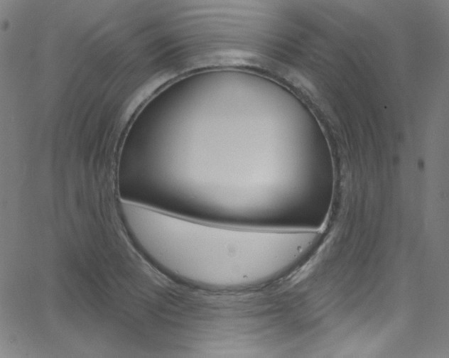 X0000068771081200604281011