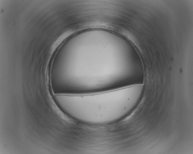 X0000068771082200604281011