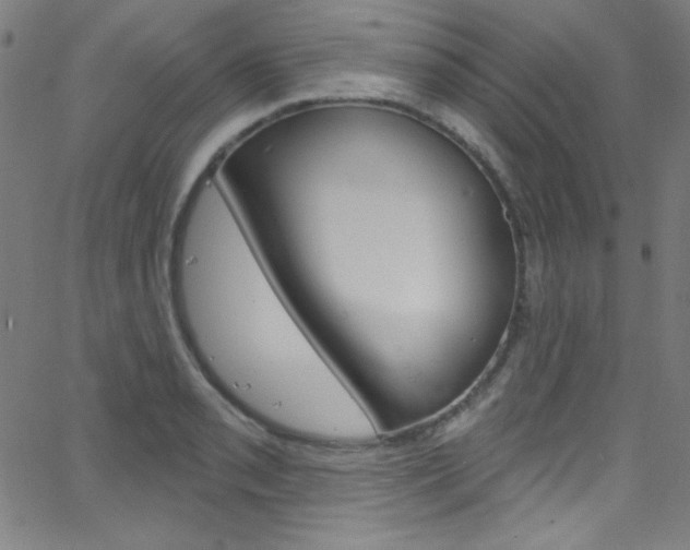 X0000068771085200604281011