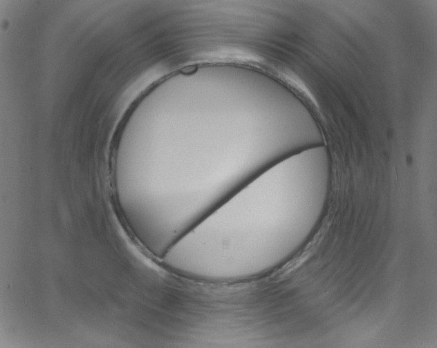X0000068771087200604281011