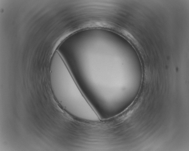 X0000068771089200604281011