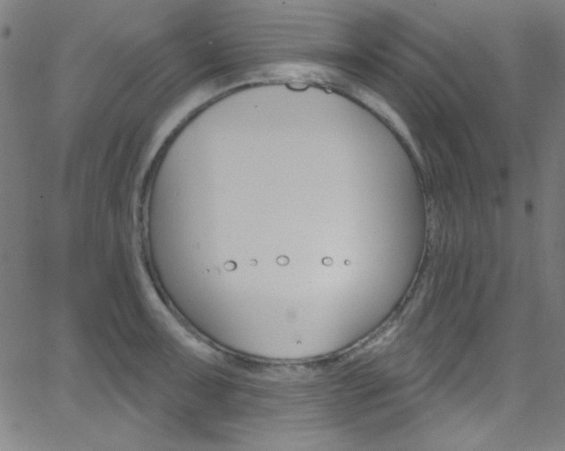 X0000068771091200604281011