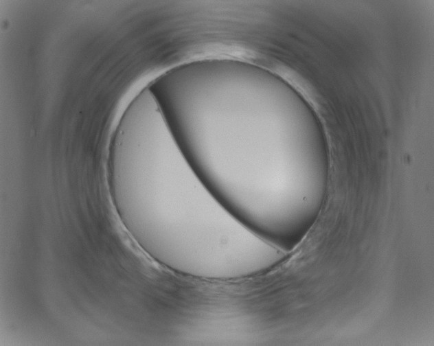 X0000068771104200604281011