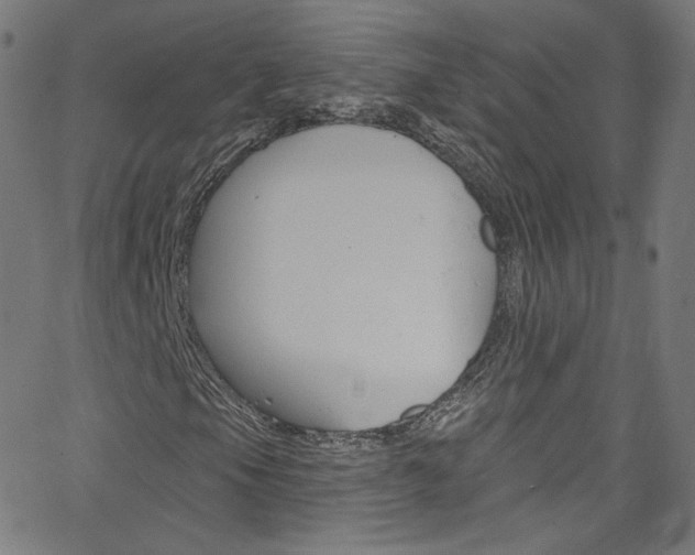 X0000068771105200604281010