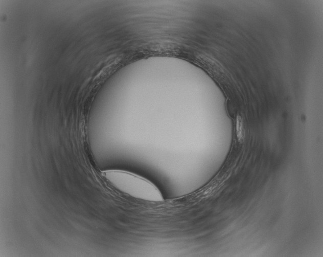 X0000068771107200604281010