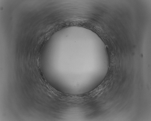 X0000068771109200604281010