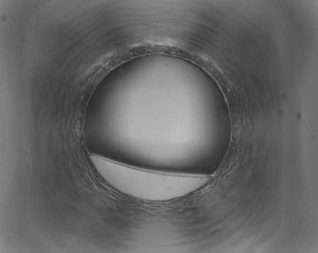 X0000068771110200604281010