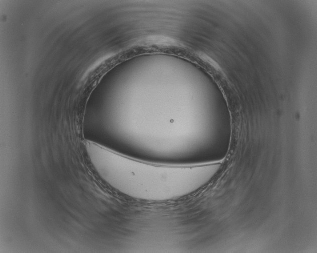 X0000068771112200604281010